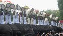 thrissur-pooram-2010 (63)